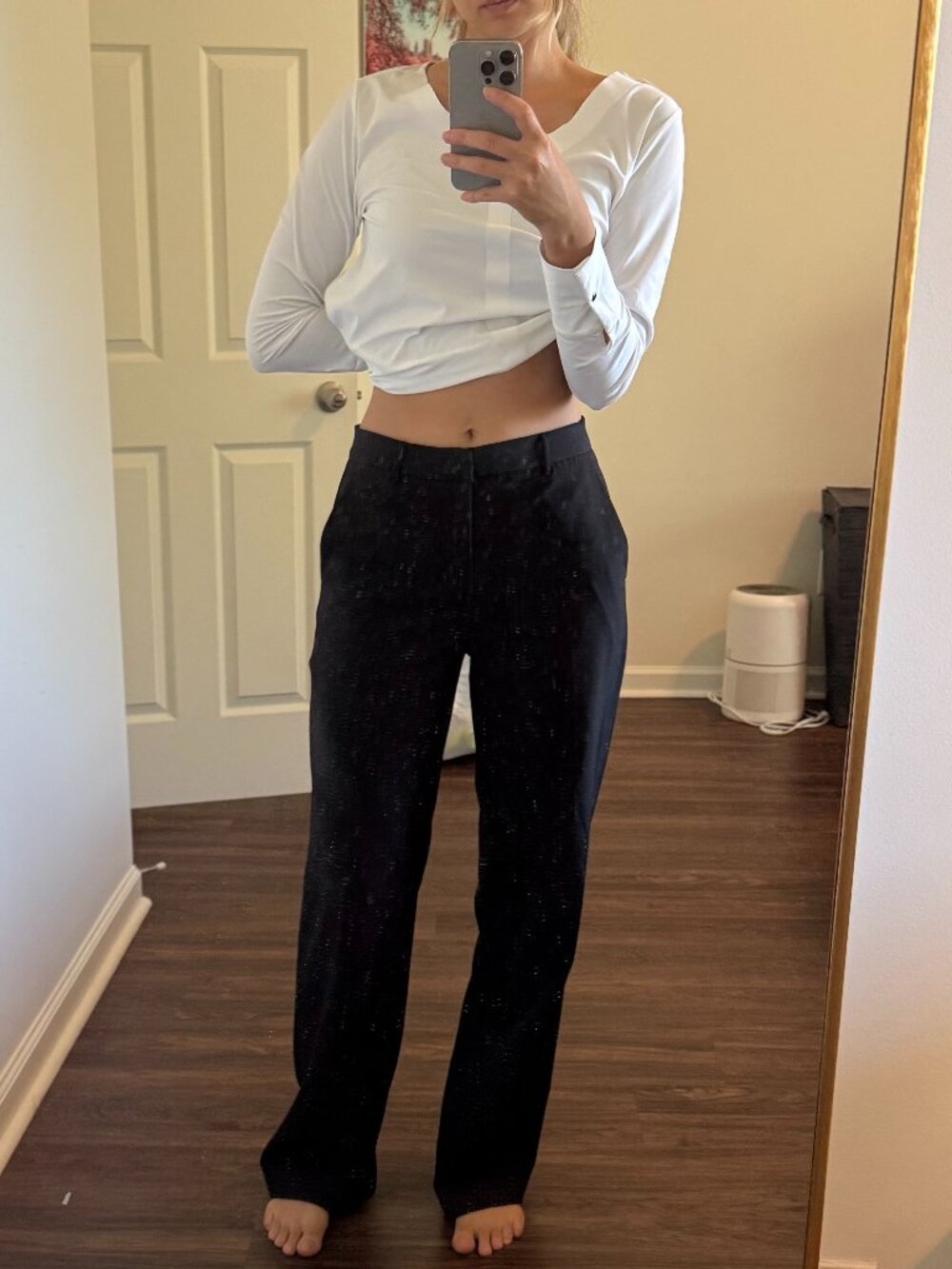 Banana Republic Sculpted Straight Pant (Size 2)